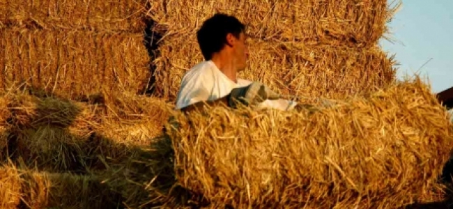 Picture 0 for Παράταση μέχρι 20 Φεβρουαρίου για τους αγρότες